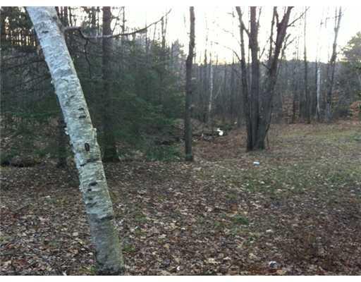 50 Barrel Shop Road Greene, ME 04236 - Photo 7 of 22 Yard/Garden.