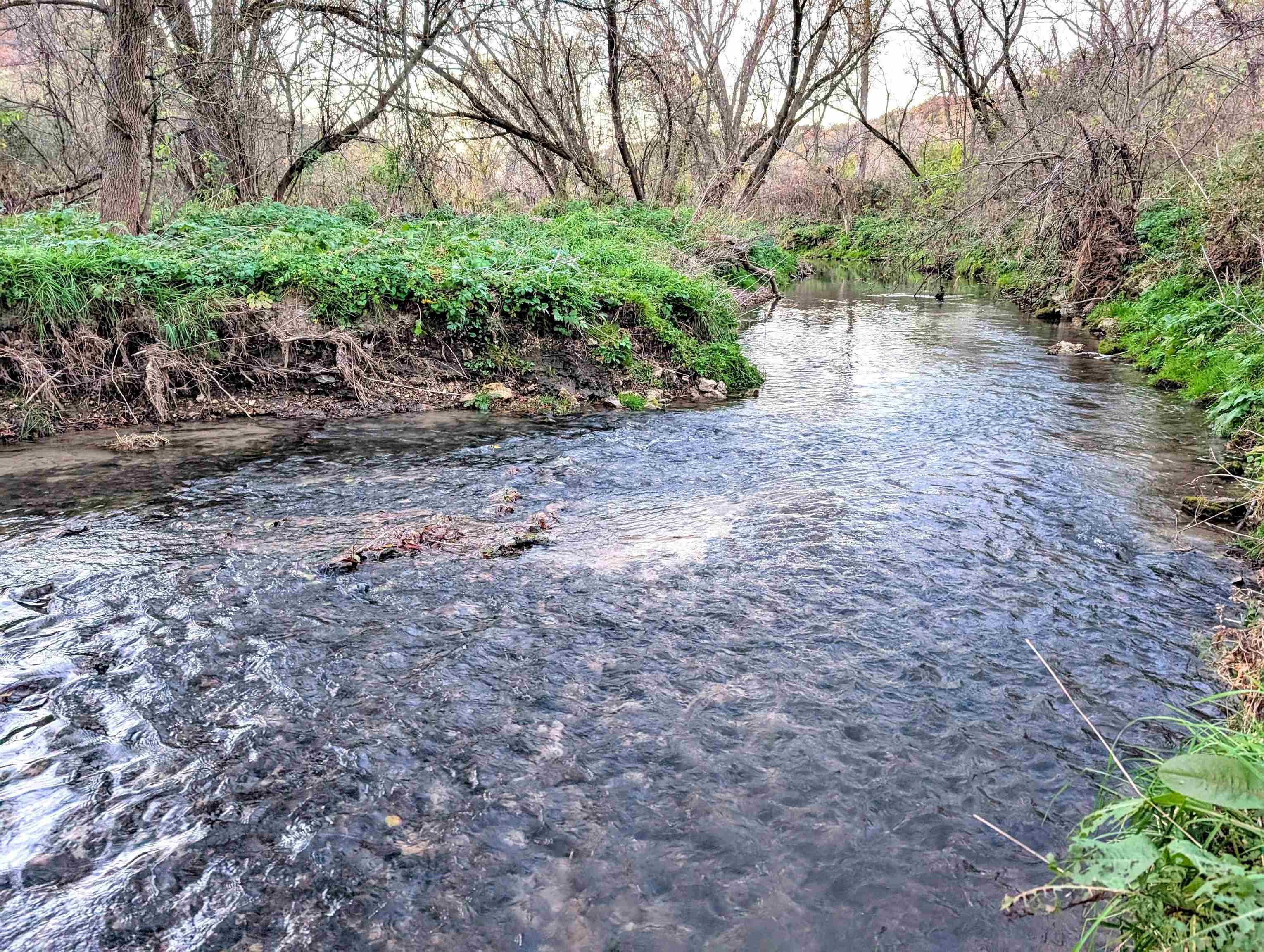 0 Millville Hollow Road Mount Hope, WI 53816 - Photo 16 of 41