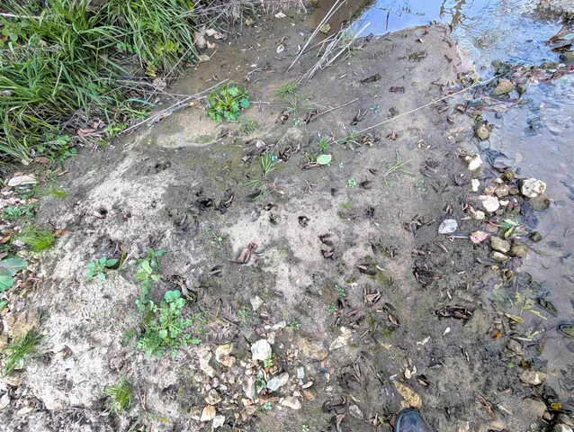 $130,000 | 0 Millville Hollow Road, Mount Hope, WI 53816