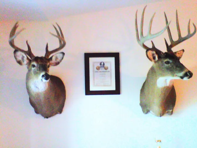 $130,000 | 0 Millville Hollow Road, Mount Hope, WI 53816