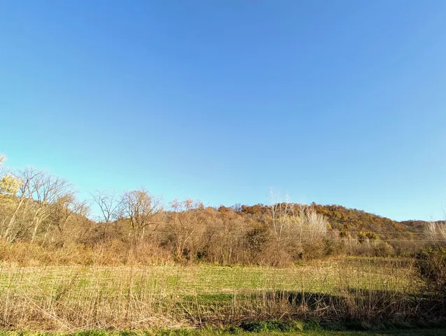 $130,000 | 0 Millville Hollow Road, Mount Hope, WI 53816