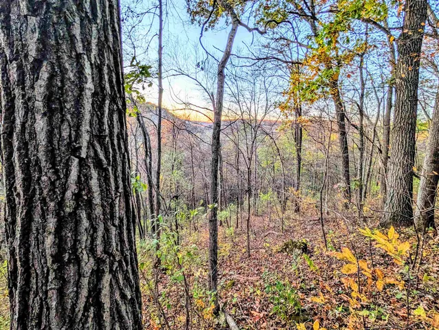 $130,000 | 0 Millville Hollow Road, Mount Hope, WI 53816