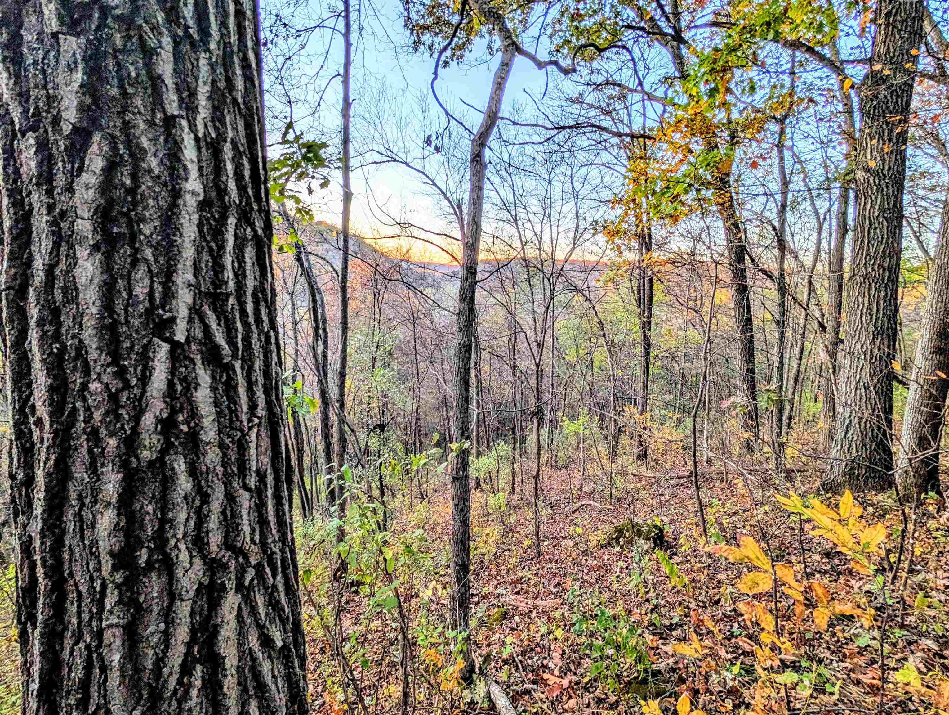 0 Millville Hollow Road Mount Hope, WI 53816 - Photo 21 of 41
