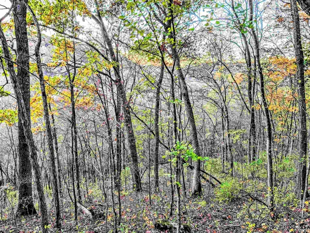 $130,000 | 0 Millville Hollow Road, Mount Hope, WI 53816