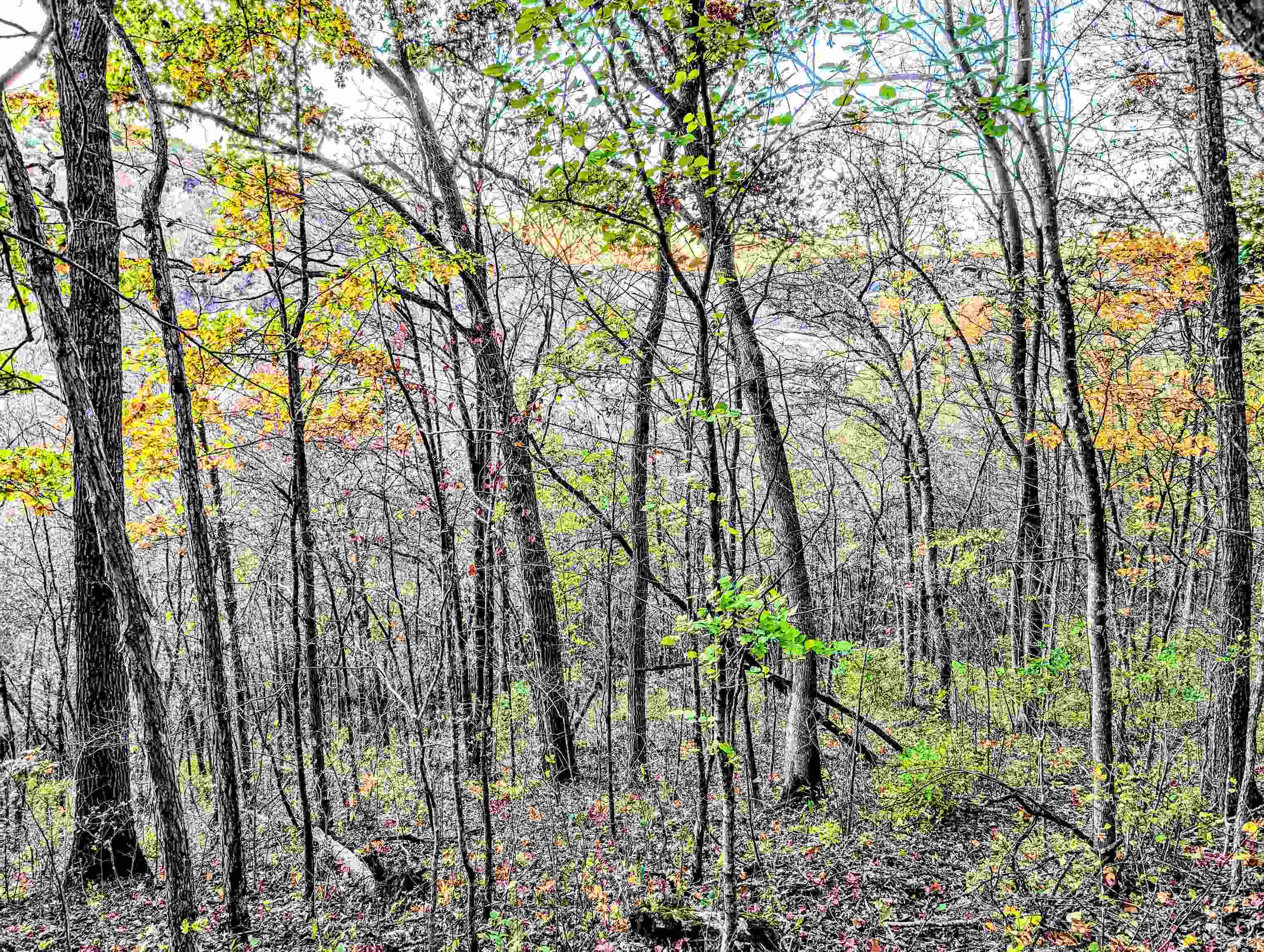 0 Millville Hollow Road Mount Hope, WI 53816 - Photo 23 of 41