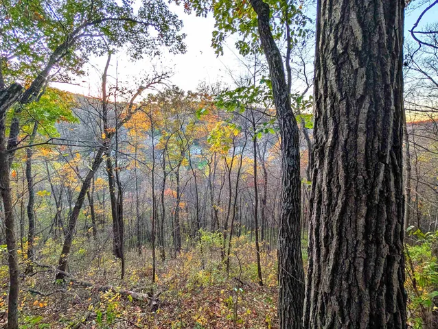 $130,000 | 0 Millville Hollow Road, Mount Hope, WI 53816