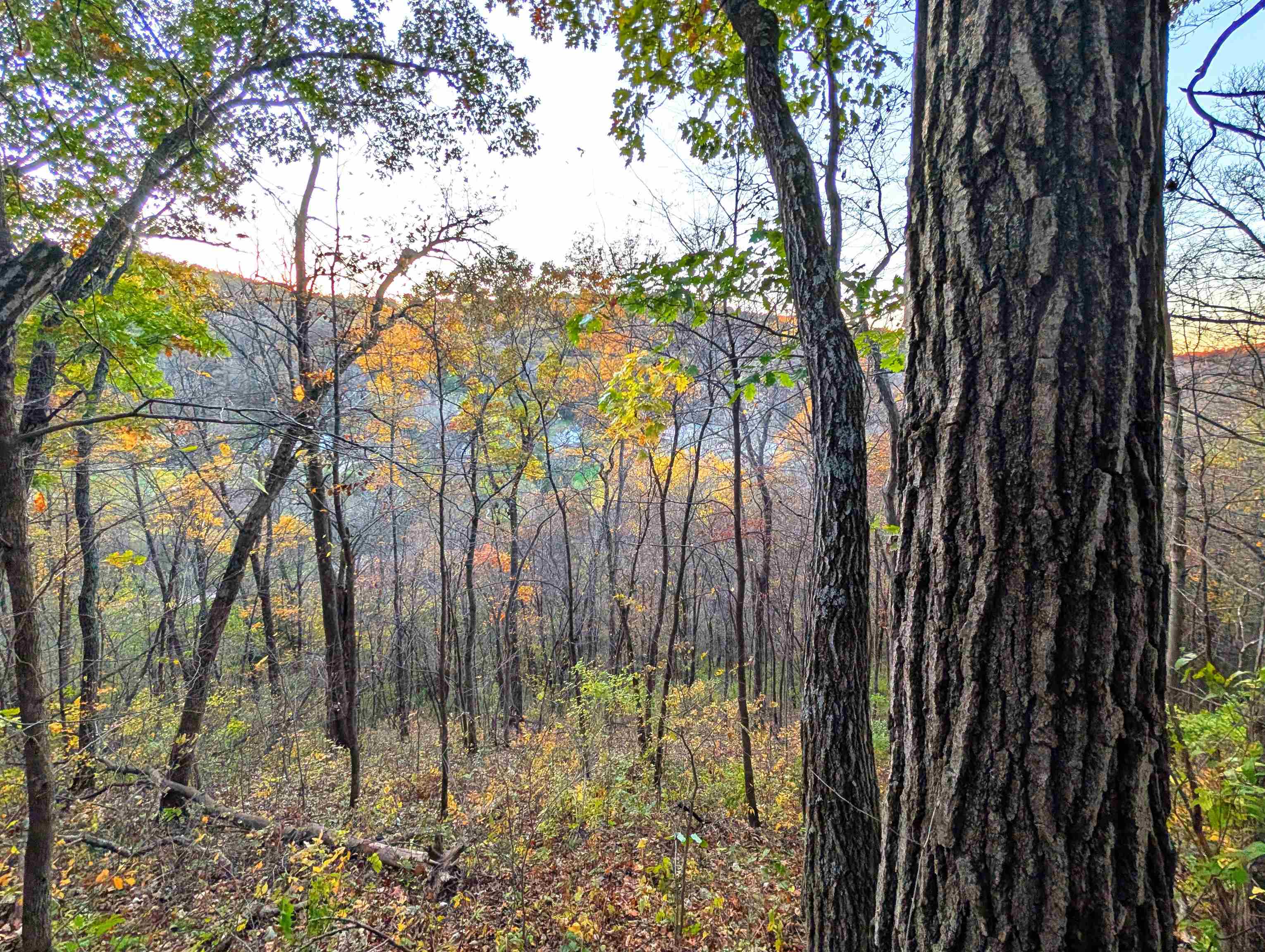 0 Millville Hollow Road Mount Hope, WI 53816 - Photo 24 of 41