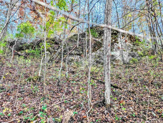 $130,000 | 0 Millville Hollow Road, Mount Hope, WI 53816