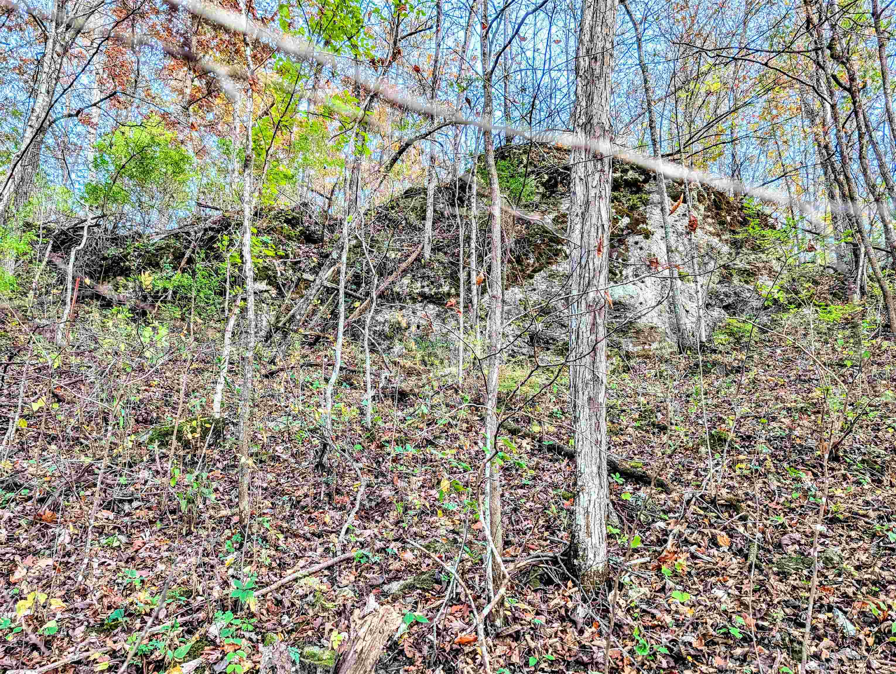 0 Millville Hollow Road Mount Hope, WI 53816 - Photo 25 of 41