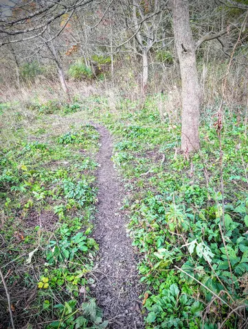 $130,000 | 0 Millville Hollow Road, Mount Hope, WI 53816