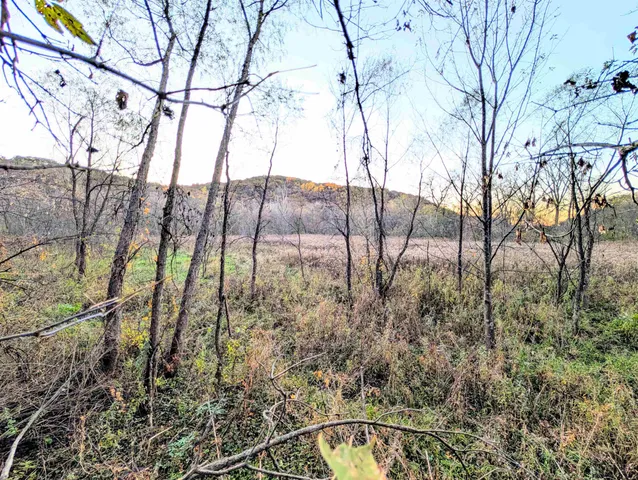 $130,000 | 0 Millville Hollow Road, Mount Hope, WI 53816