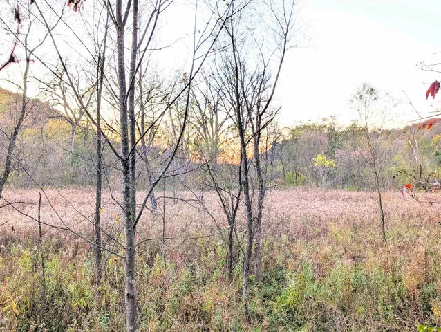 $130,000 | 0 Millville Hollow Road, Mount Hope, WI 53816