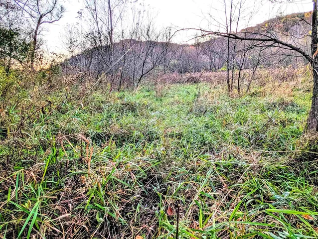 $130,000 | 0 Millville Hollow Road, Mount Hope, WI 53816