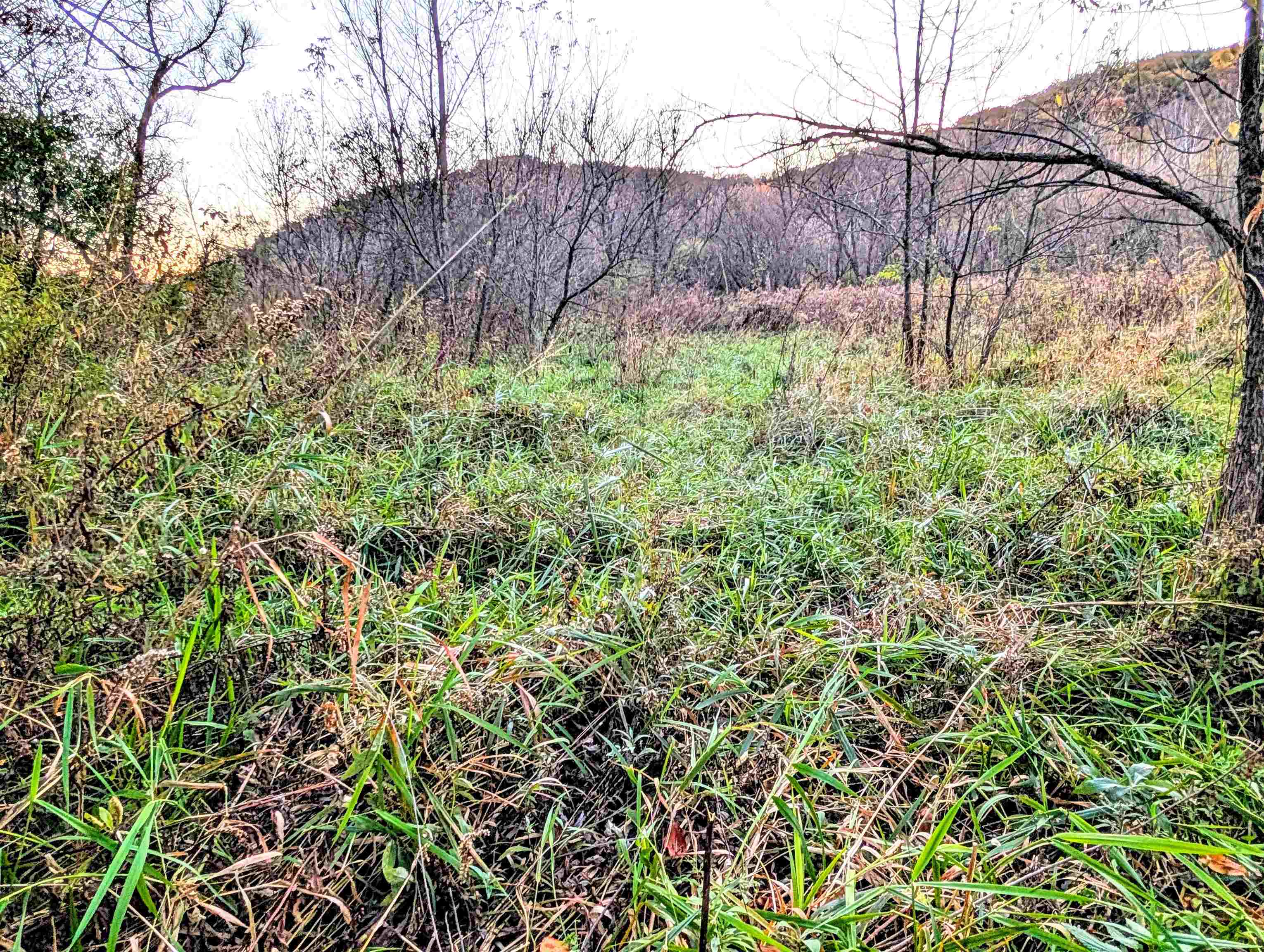 0 Millville Hollow Road Mount Hope, WI 53816 - Photo 32 of 41