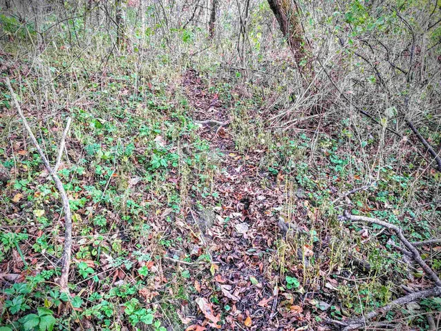 $130,000 | 0 Millville Hollow Road, Mount Hope, WI 53816