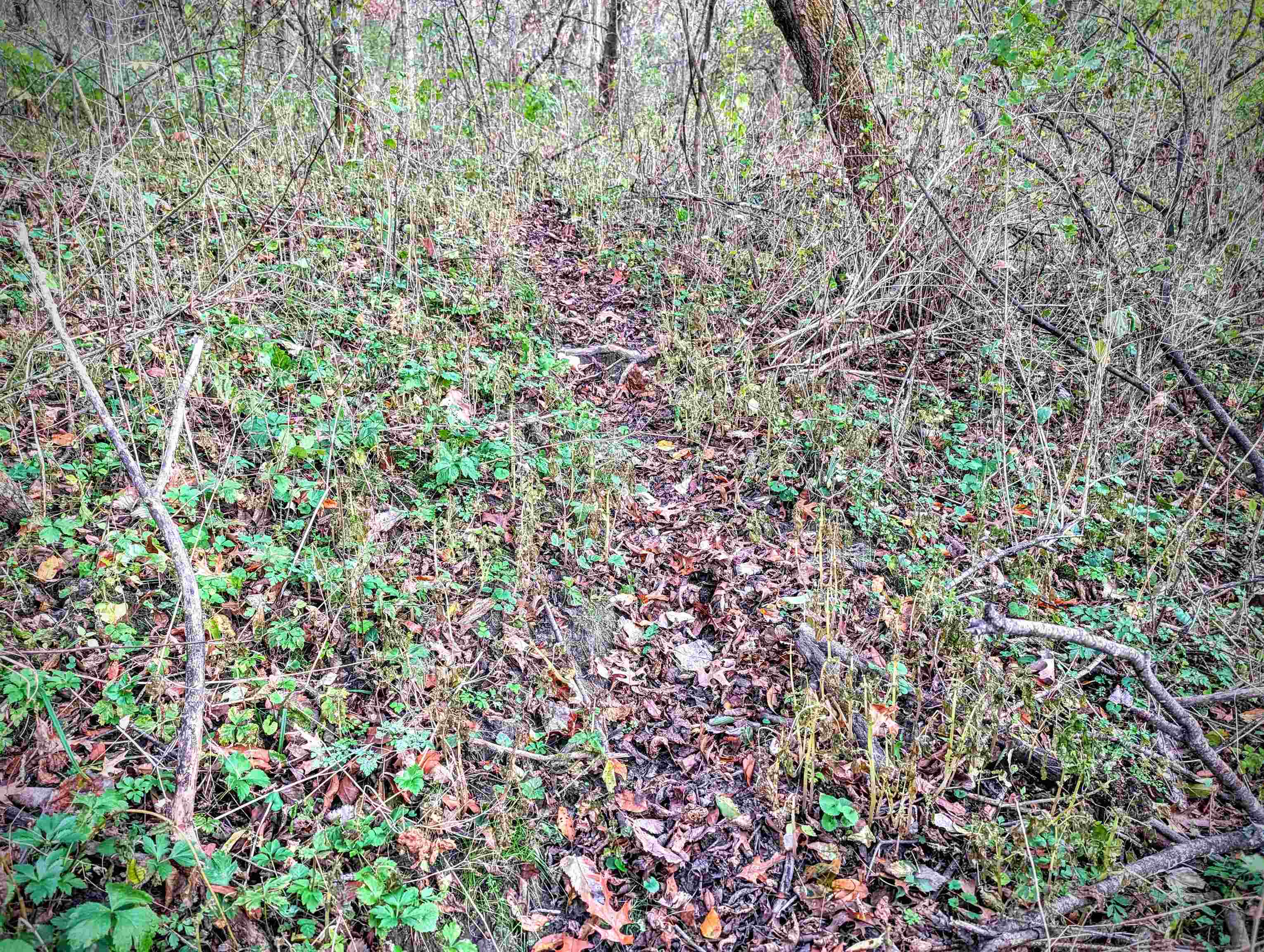 0 Millville Hollow Road Mount Hope, WI 53816 - Photo 33 of 41