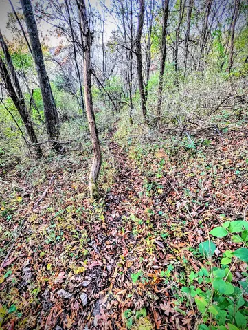 $130,000 | 0 Millville Hollow Road, Mount Hope, WI 53816