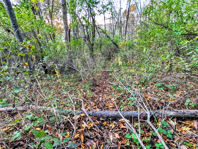 $130,000 | 0 Millville Hollow Road, Mount Hope, WI 53816