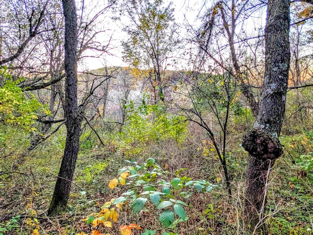 $130,000 | 0 Millville Hollow Road, Mount Hope, WI 53816