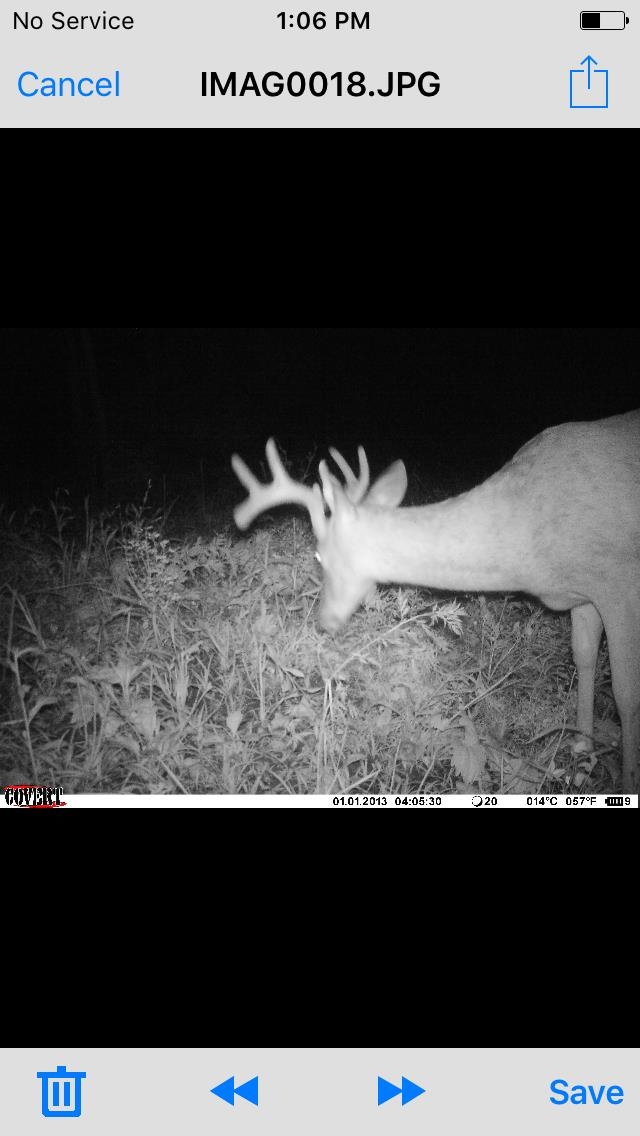 0 Millville Hollow Road Mount Hope, WI 53816 - Photo 37 of 41