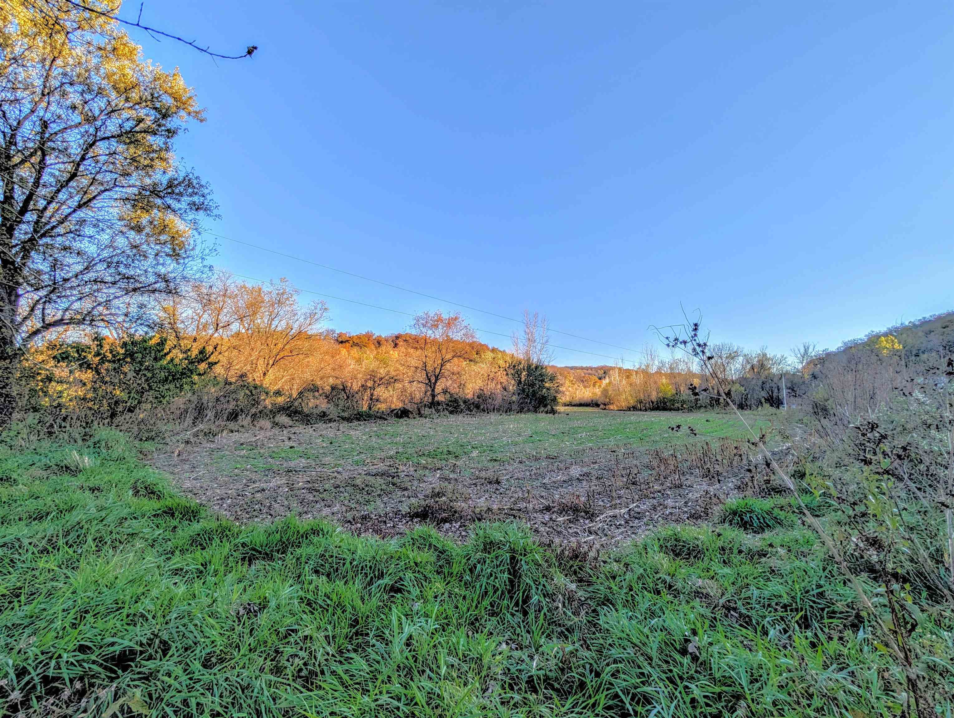 0 Millville Hollow Road Mount Hope, WI 53816 - Photo 6 of 41