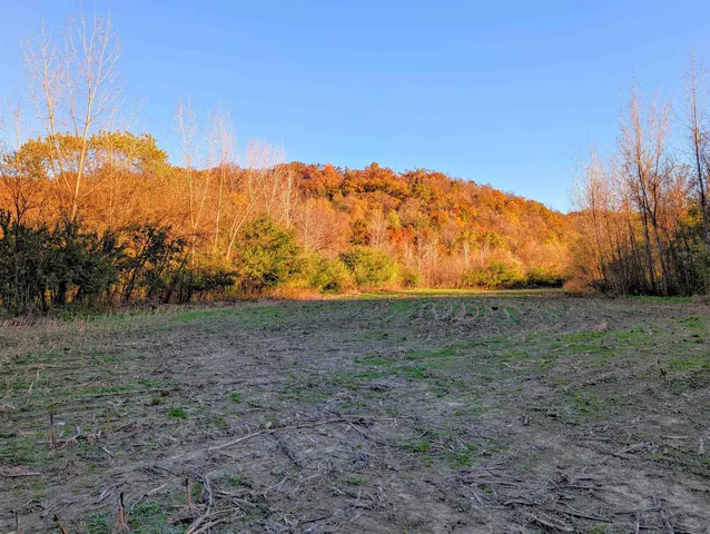 $130,000 | 0 Millville Hollow Road, Mount Hope, WI 53816