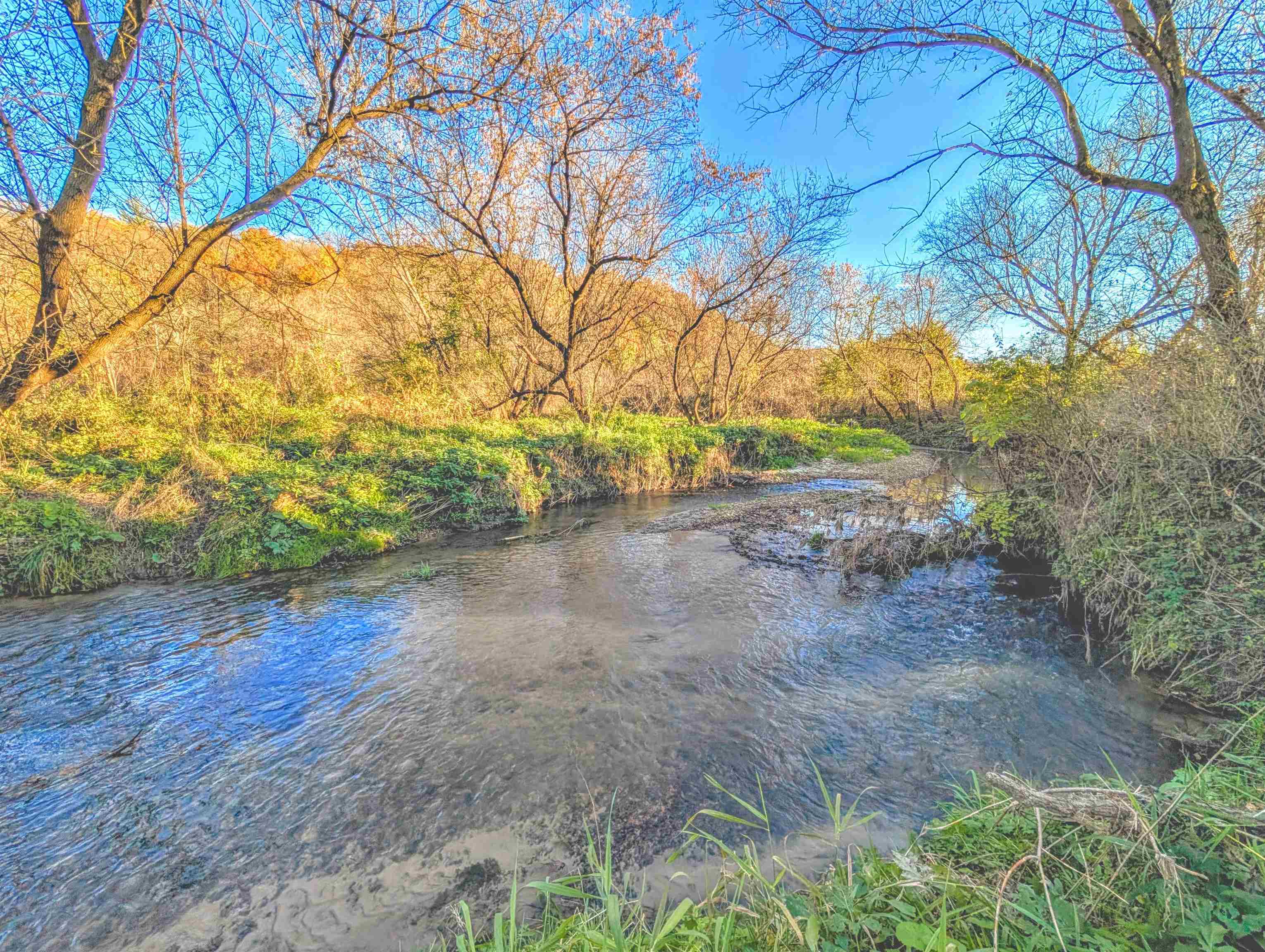 0 Millville Hollow Road Mount Hope, WI 53816 - Photo 10 of 41