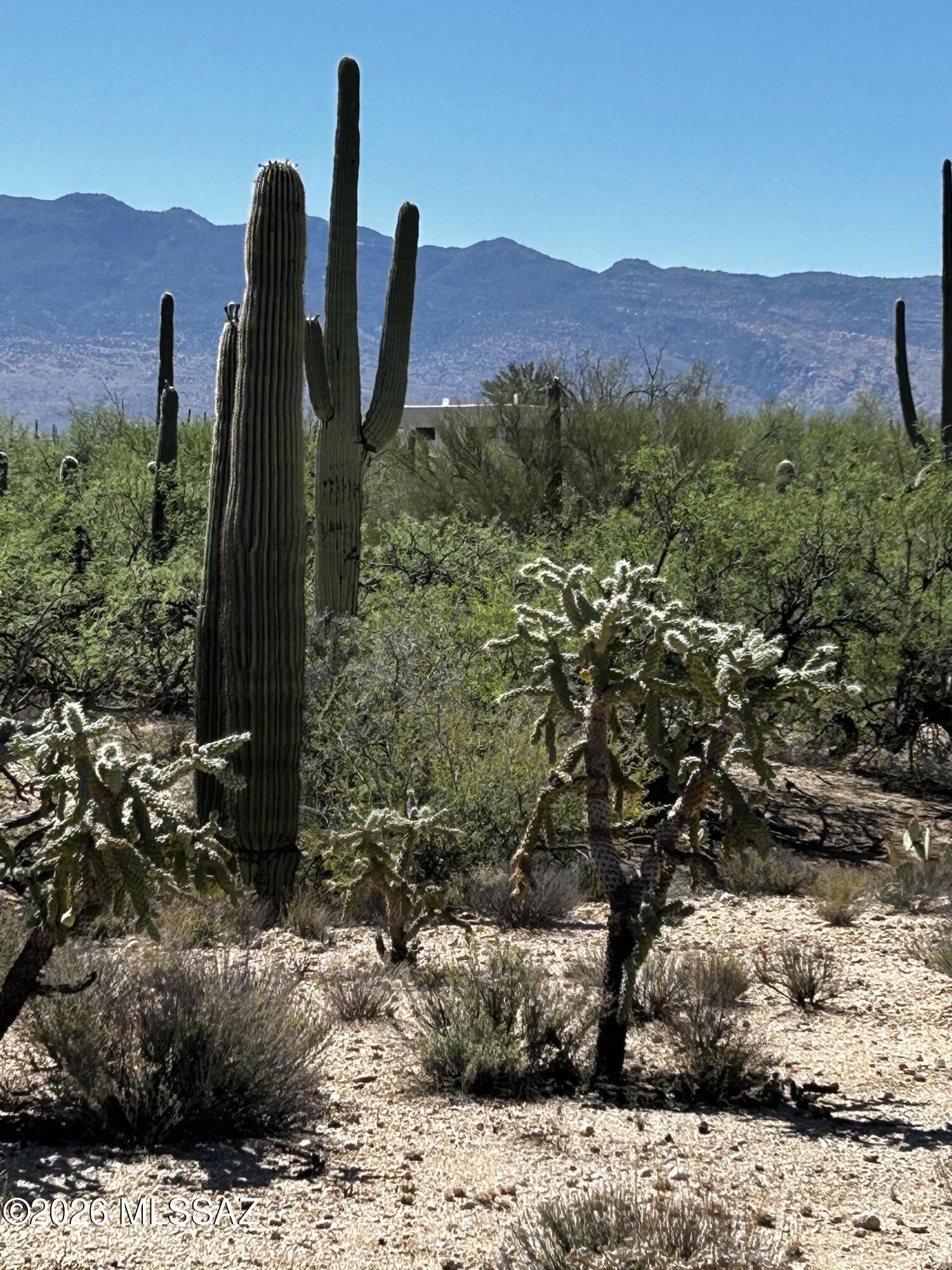 East Roger Road, Unit 46 Tucson, AZ 85749 - Photo 1 of 38