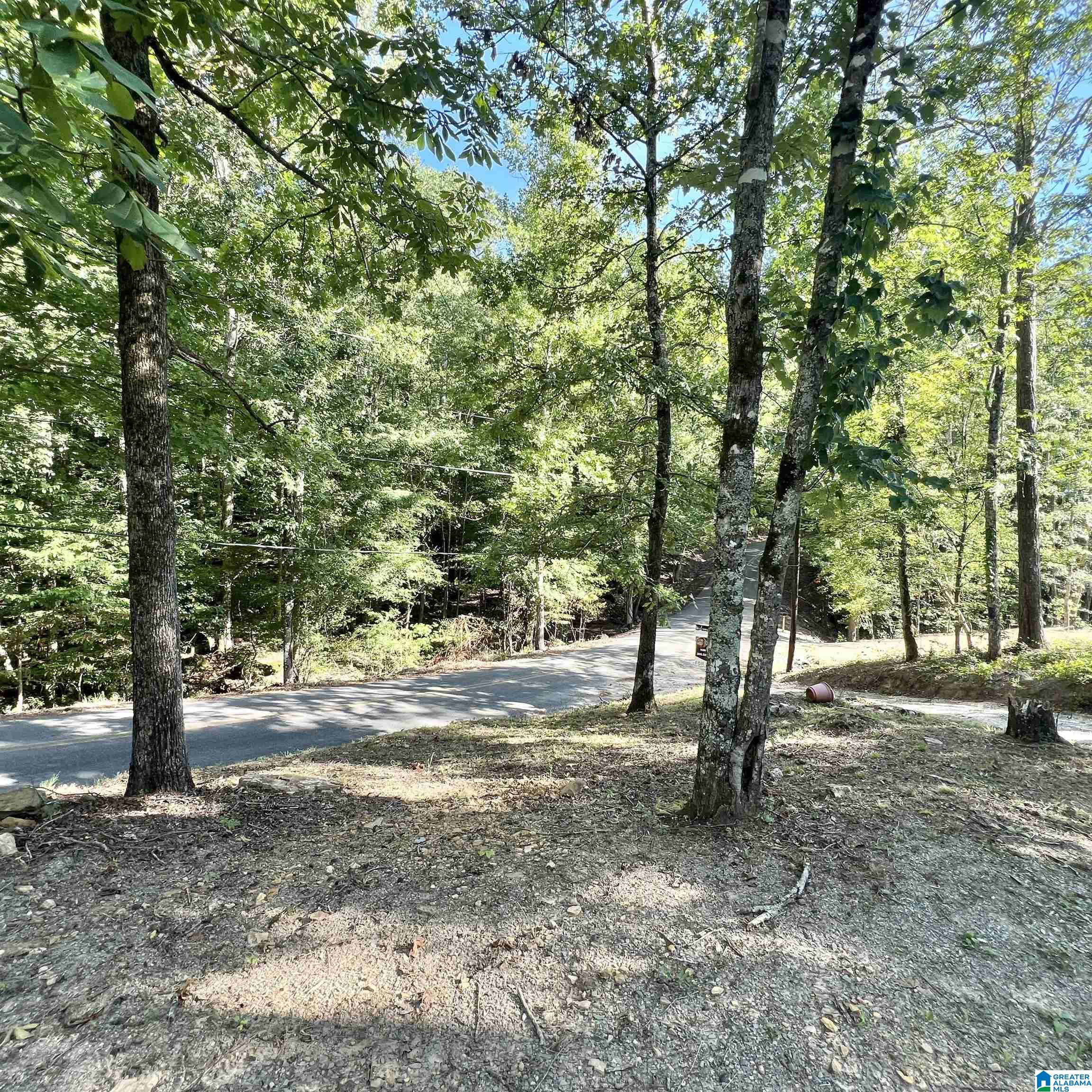 1591 Waldrop Road, Unit 1 Ashville, AL 35953 - Photo 3 of 30