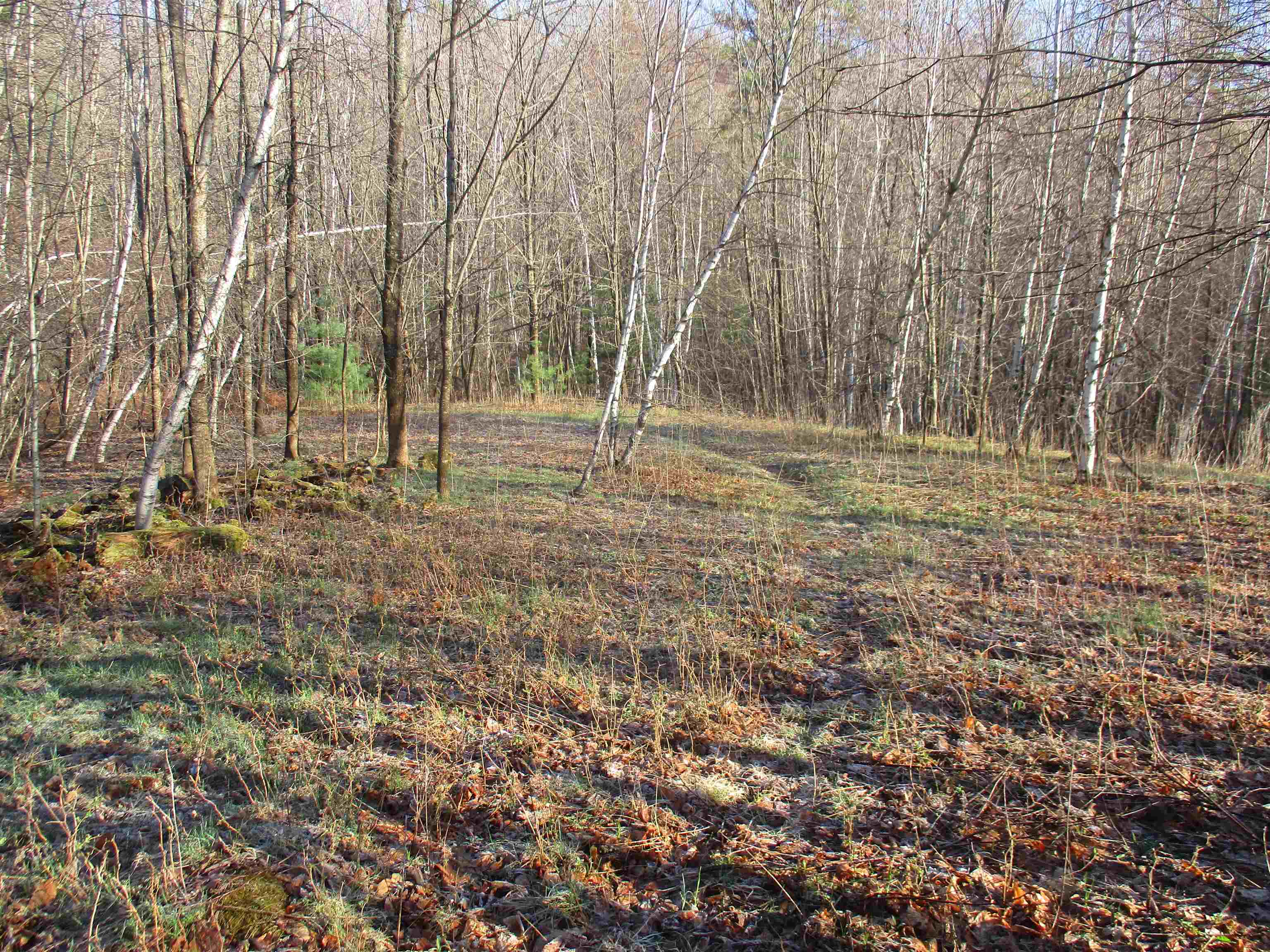 5-a-10-5 Farley Ball Road Temple, NH 03084 - Photo 7 of 9 Gallery Image 7