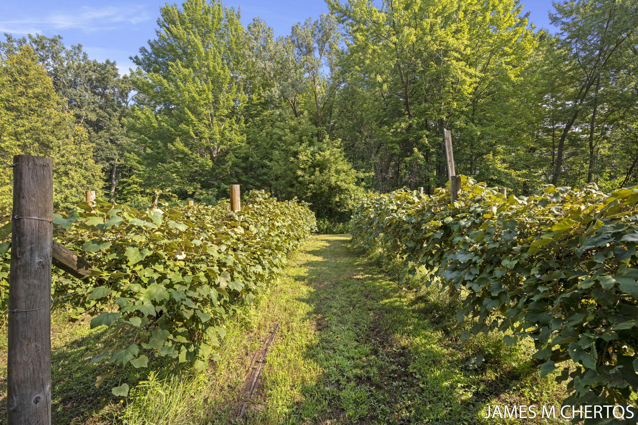 17401 Taft Road Spring Lake, MI 49456 - Photo 33 of 37 37-web-or-mls-A7408817