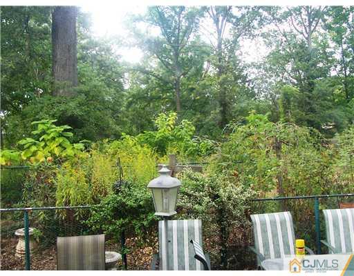 3 Ellmyer Road Edison, NJ 08820 - Photo 17 of 18 a view of a bench in the backyard