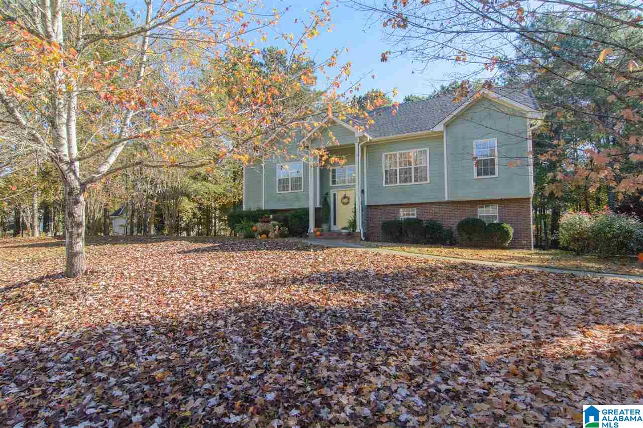 122 Shelby Forest Road Chelsea, AL 35043 - Photo 2 of 45