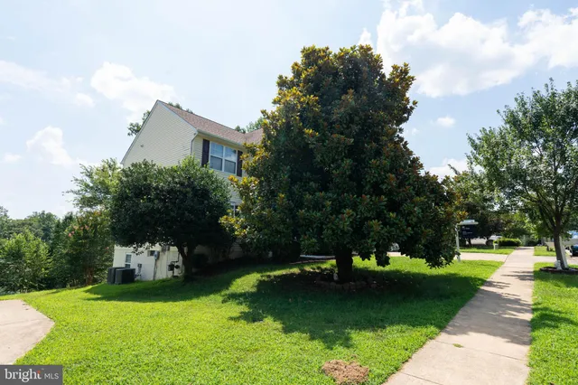 a front view of a house with a yard and trees