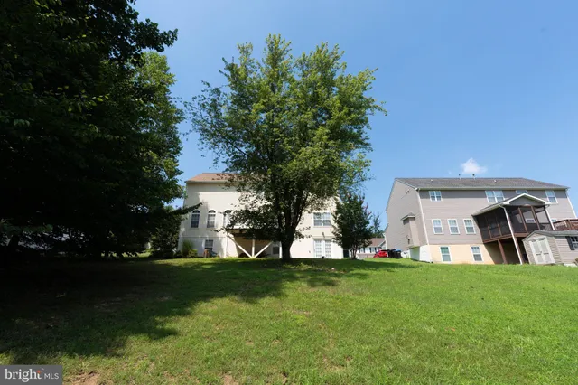 a view of a backyard with plants and a large tree