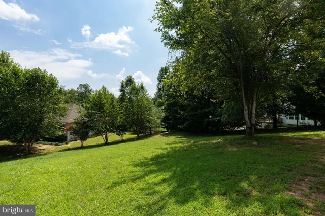 a view of a park with trees in the background