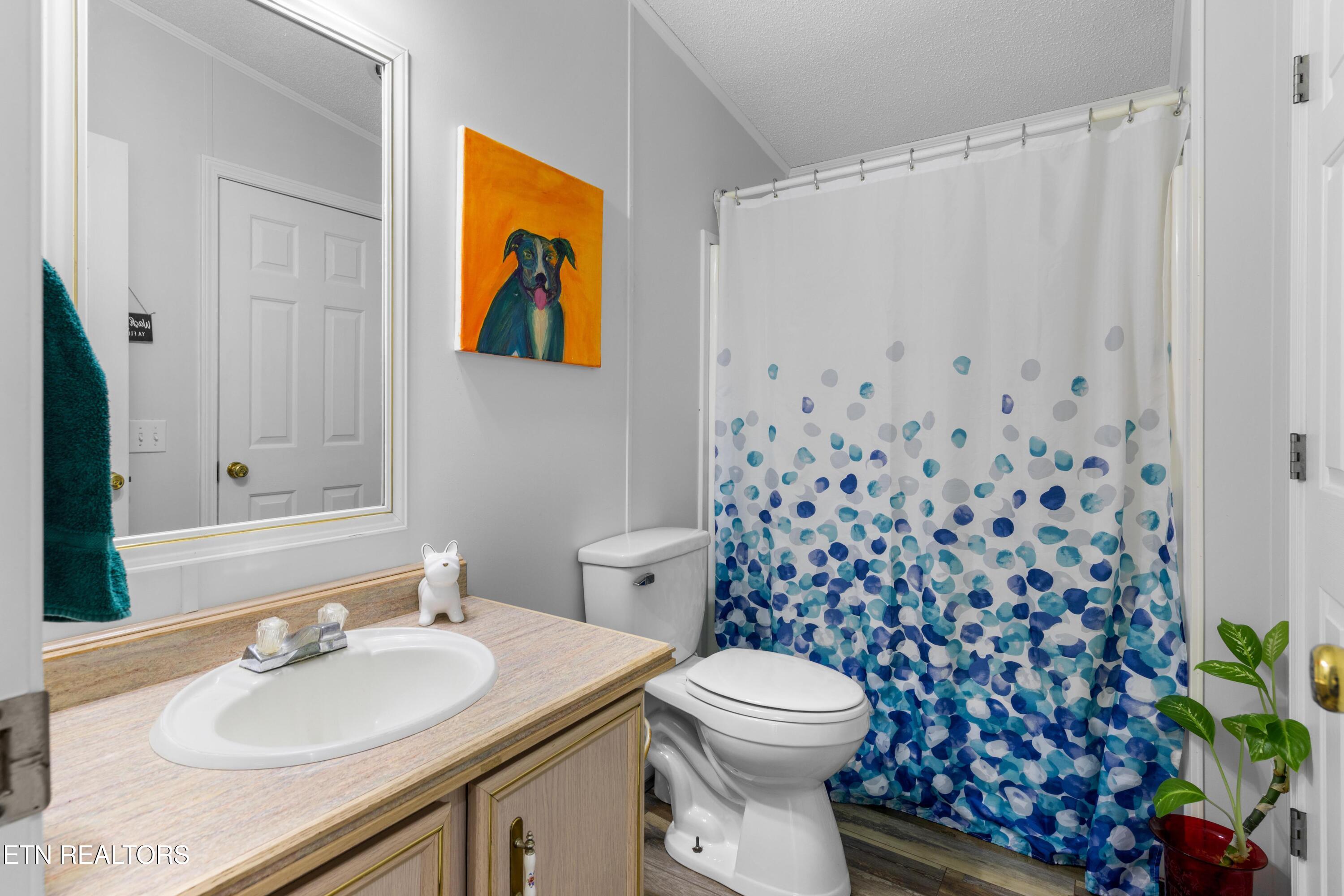 2315 Jim Henry Road Dandridge, TN 37725 - Photo 14 of 20 030A0805