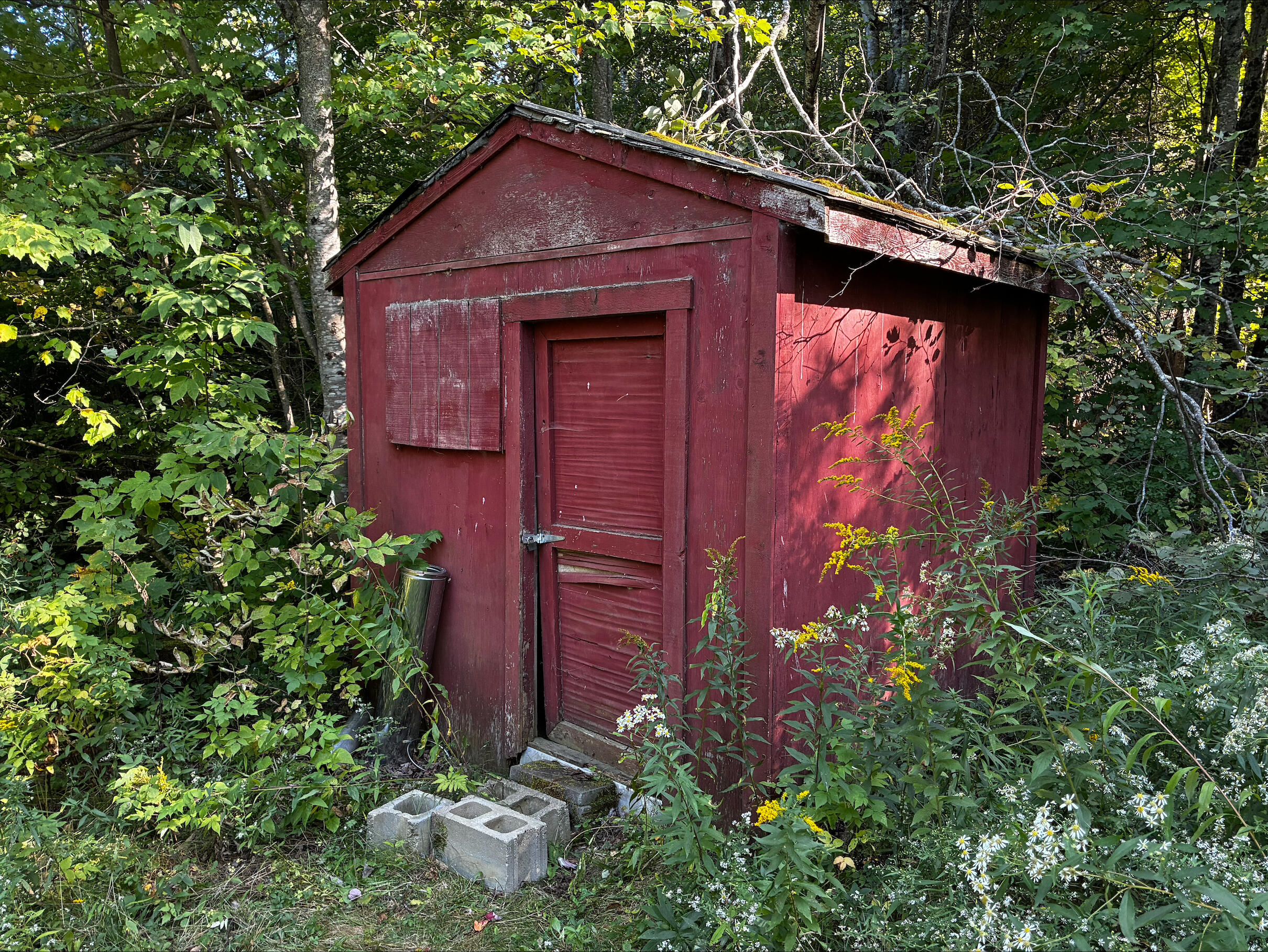 598 Quaker Hill Road Albion, ME 04910 - Photo 5 of 20 Exterior