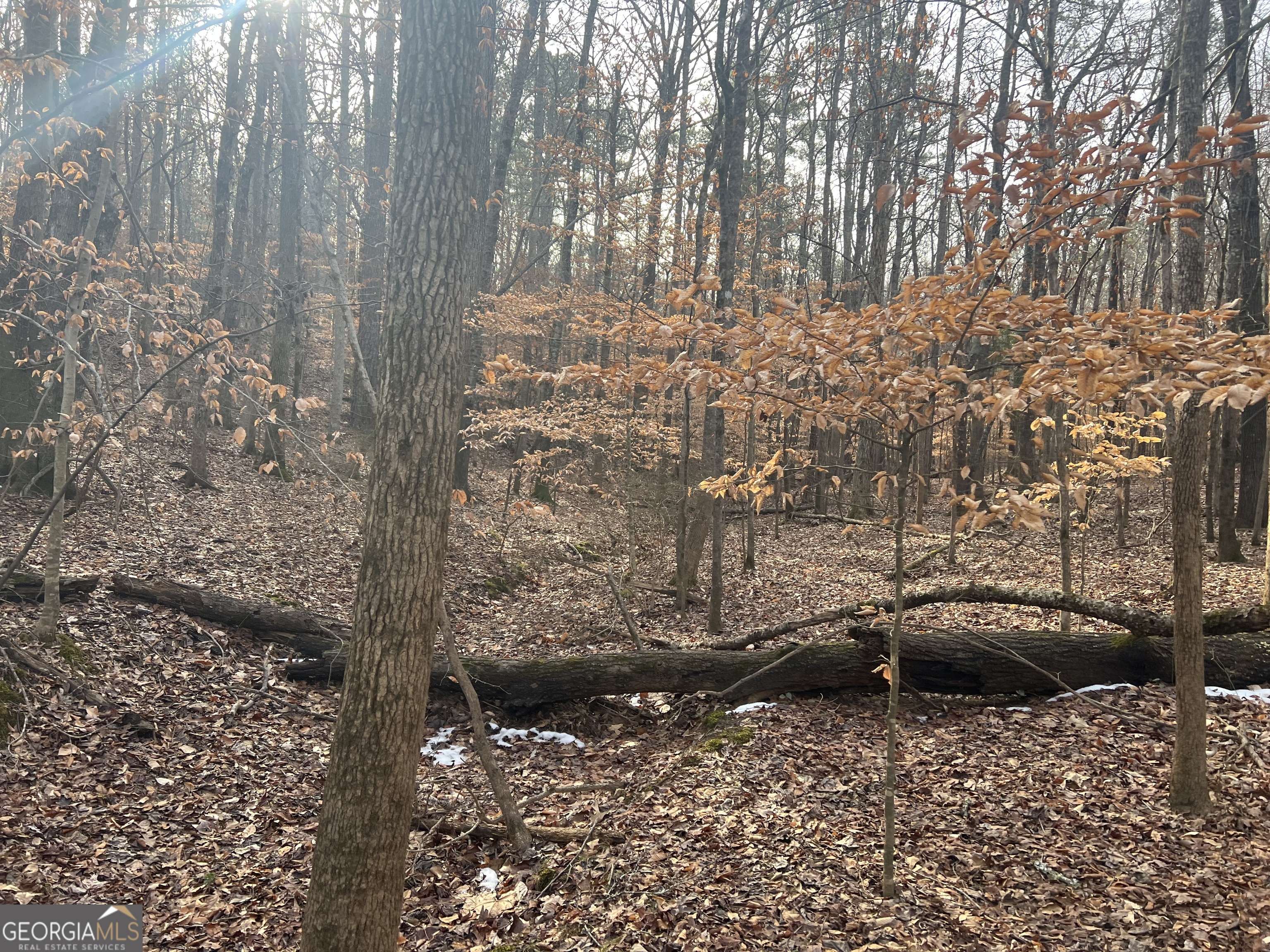 3140 Gees Mill Road Northeast Conyers, GA 30013 - Photo 2 of 17 a view of a backyard of the house