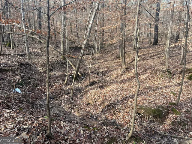 a view of a yard with a tree