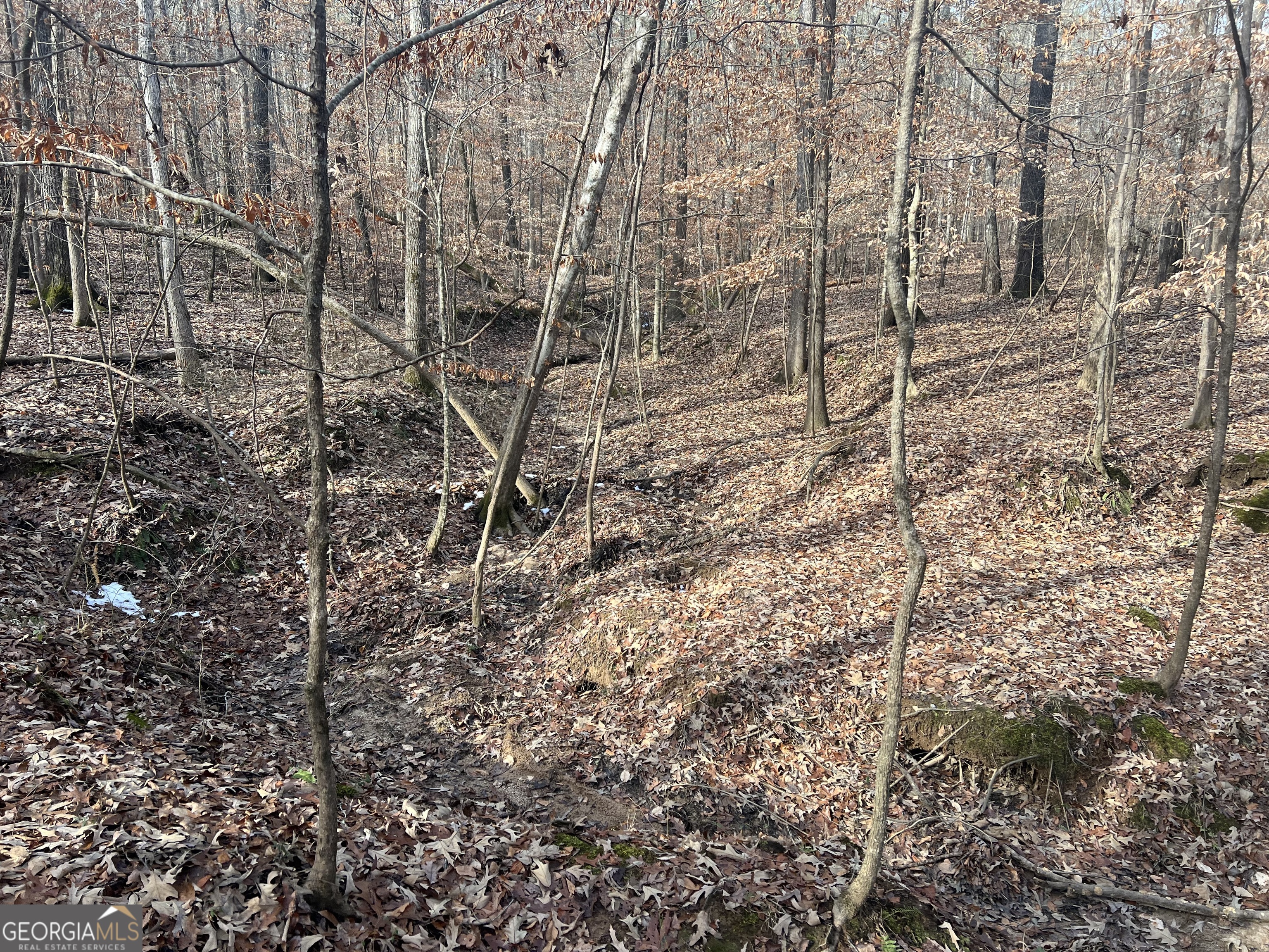 3140 Gees Mill Road Northeast Conyers, GA 30013 - Photo 3 of 17 a view of a pathway with a yard