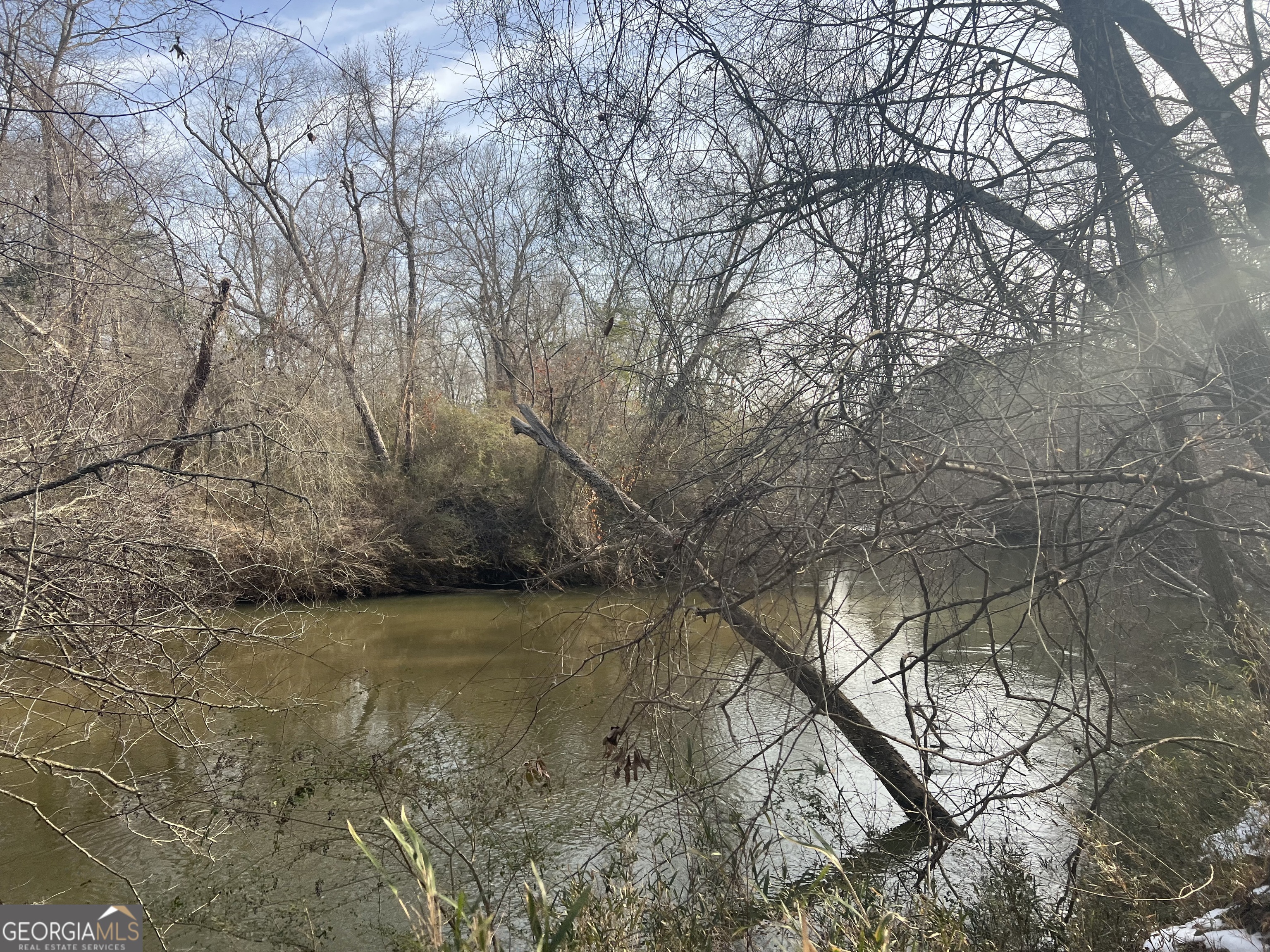 3140 Gees Mill Road Northeast Conyers, GA 30013 - Photo 4 of 17 a view of a yard with a tree