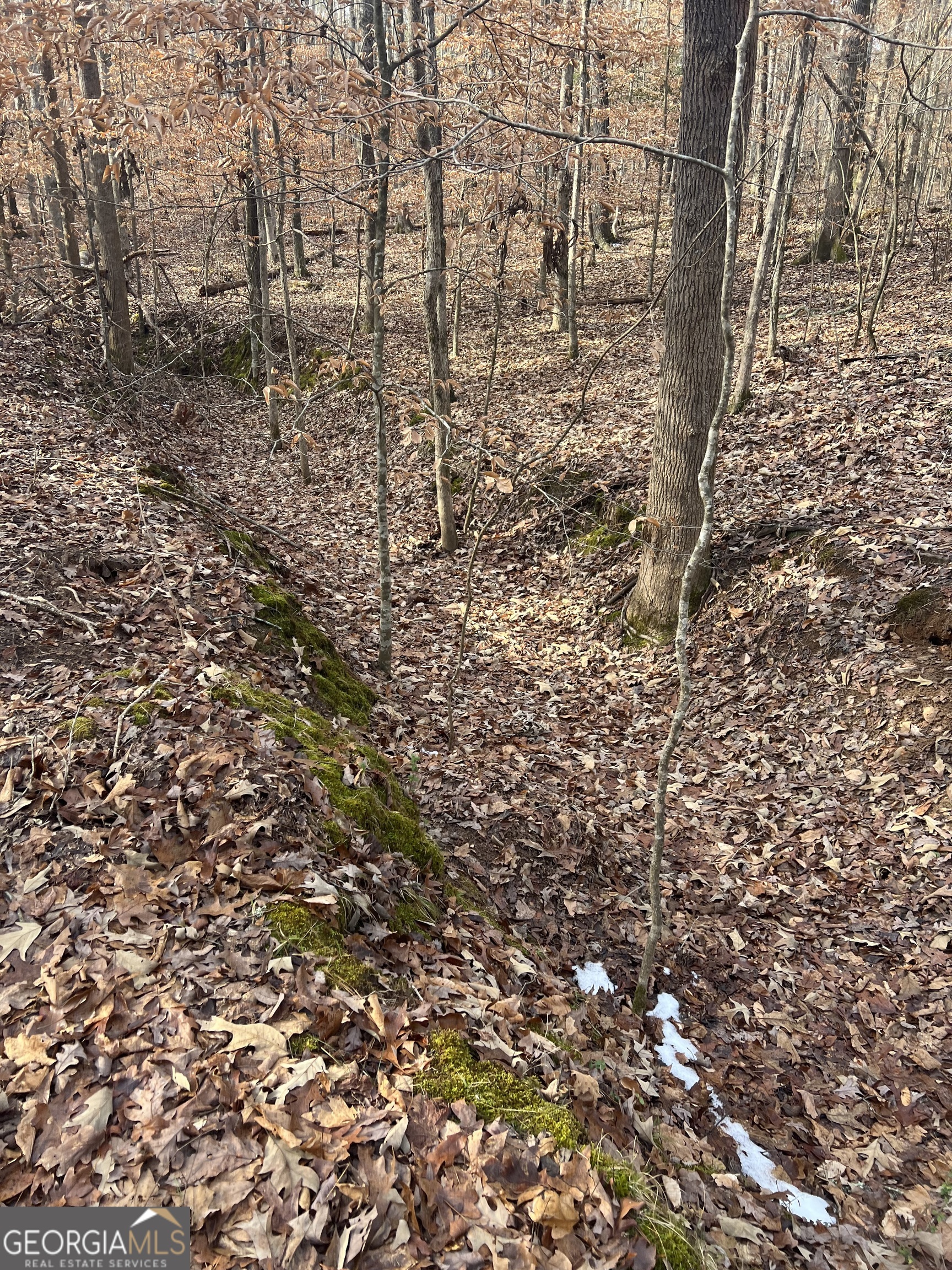 3140 Gees Mill Road Northeast Conyers, GA 30013 - Photo 5 of 17 a view of a house with yard and tree