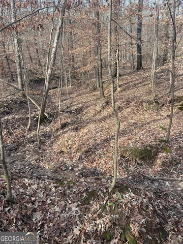 a front view of house with yard and trees