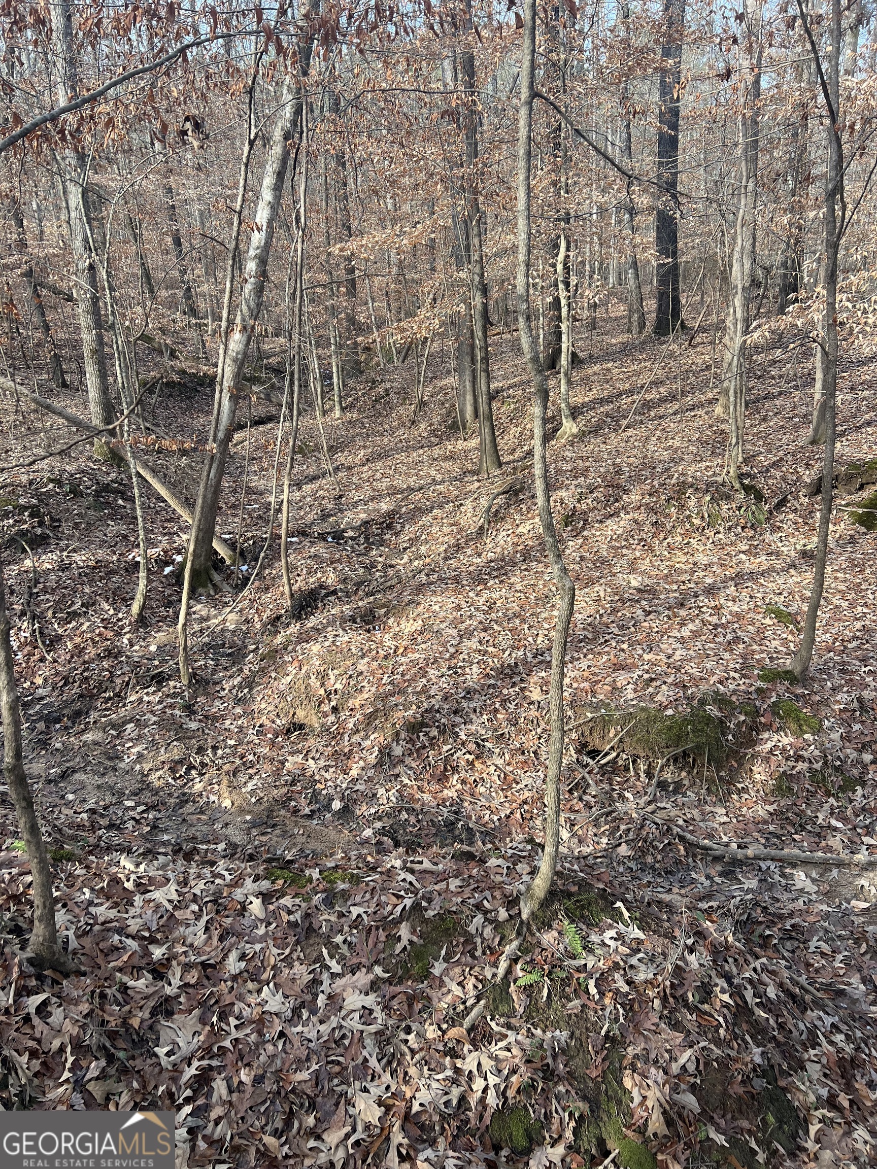 3140 Gees Mill Road Northeast Conyers, GA 30013 - Photo 10 of 17 a view of a yard with plants and wooden fence