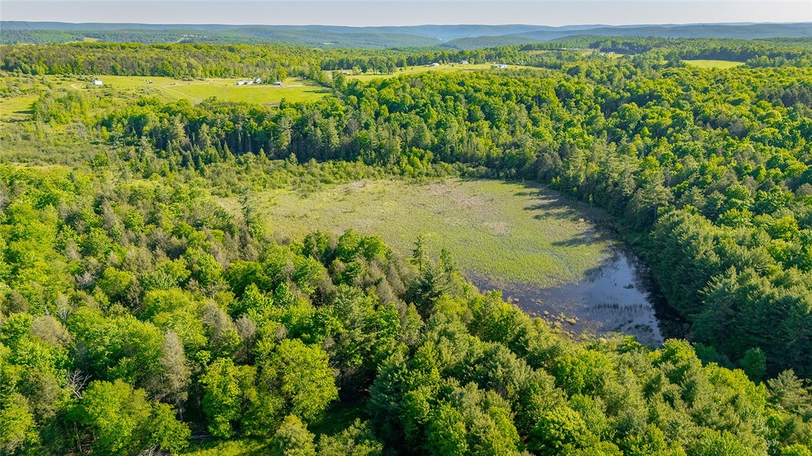 10815 Church Creek Road Caton, NY 14858 - Photo 13 of 22