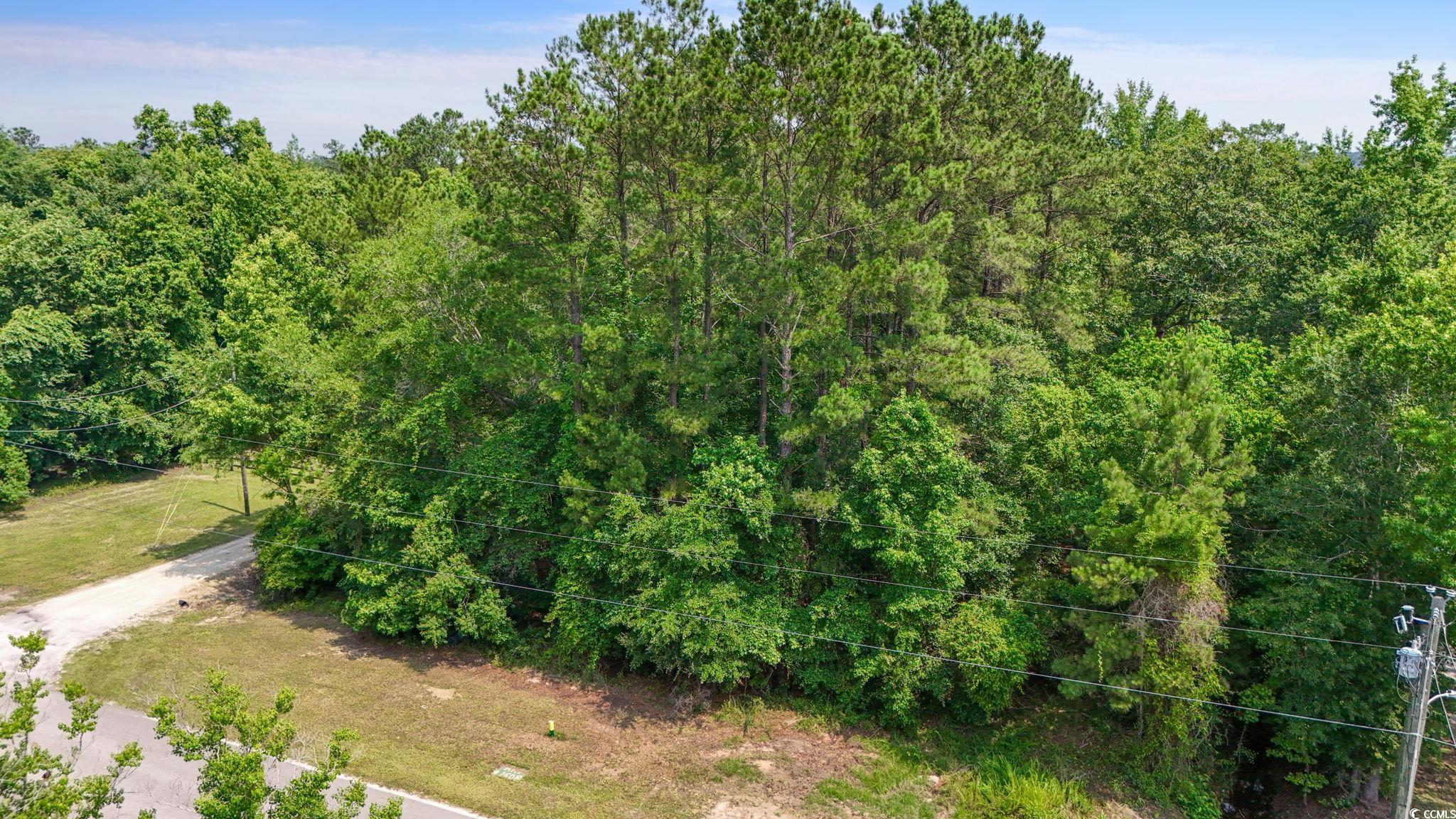 Tbd Riverside Drive Conway, SC 29526 - Photo 11 of 11 View of woods