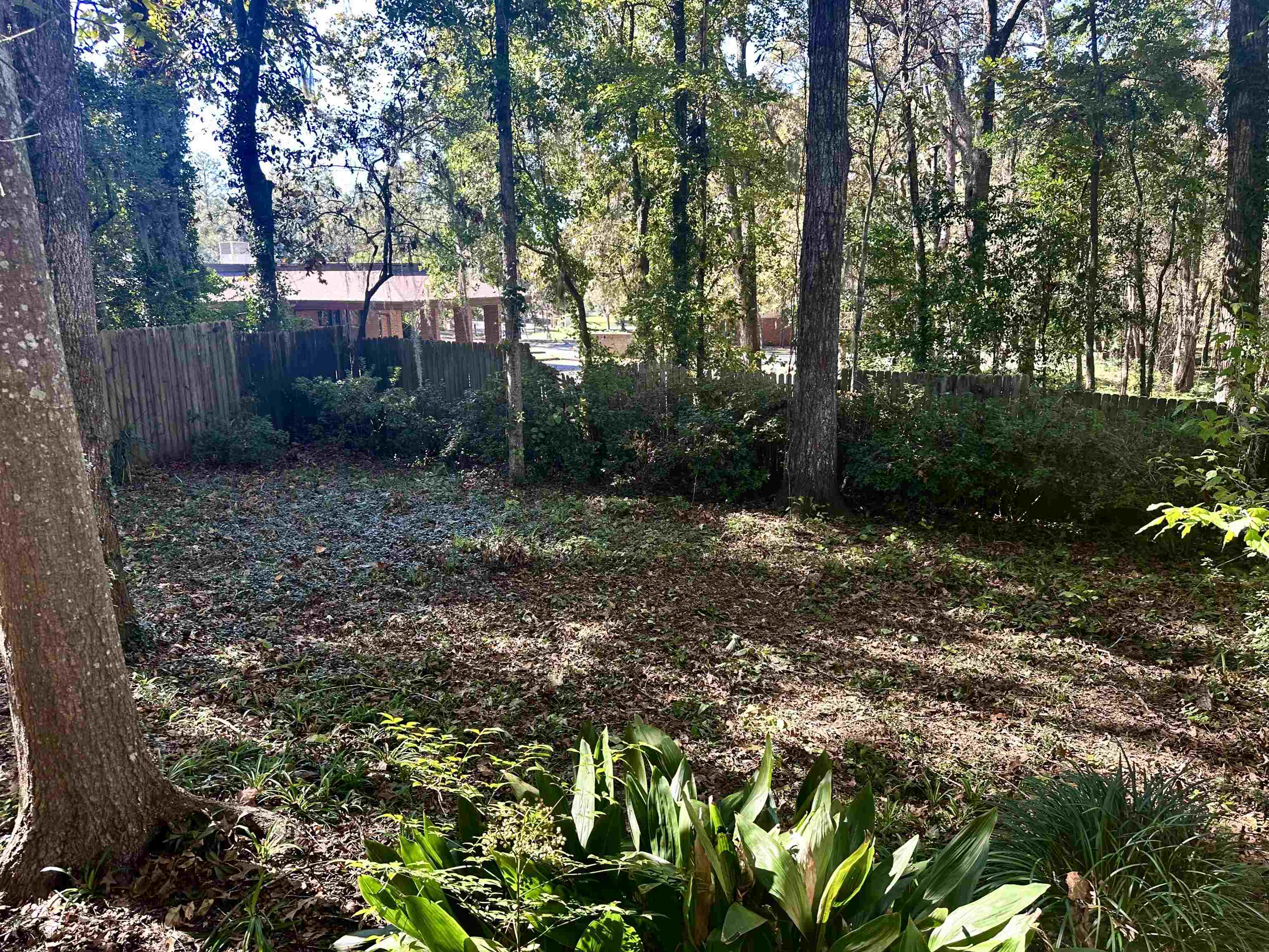 1908 Hidden Valley Tallahassee, FL 32308 - Photo 13 of 22