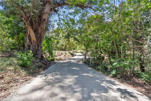 a view of a yard with plants and trees