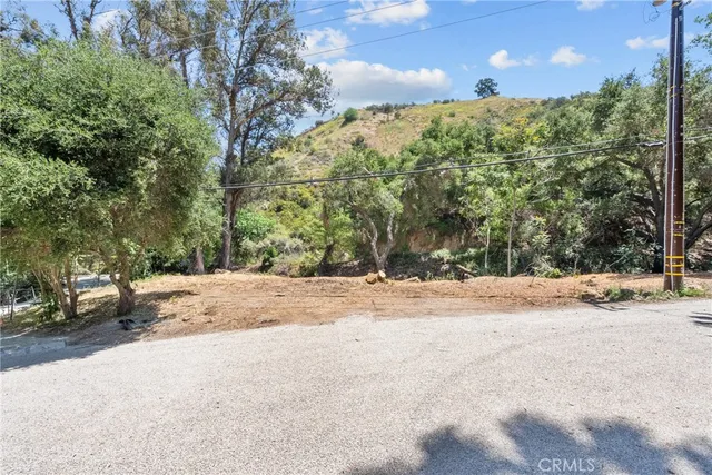 a view of a yard with a tree